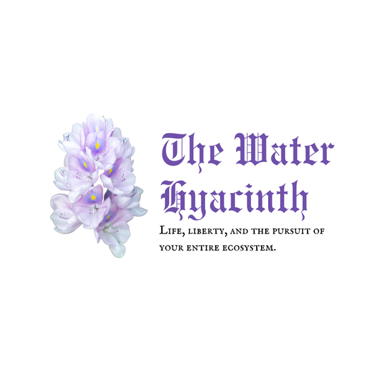 Pursuit of the Ecosystem